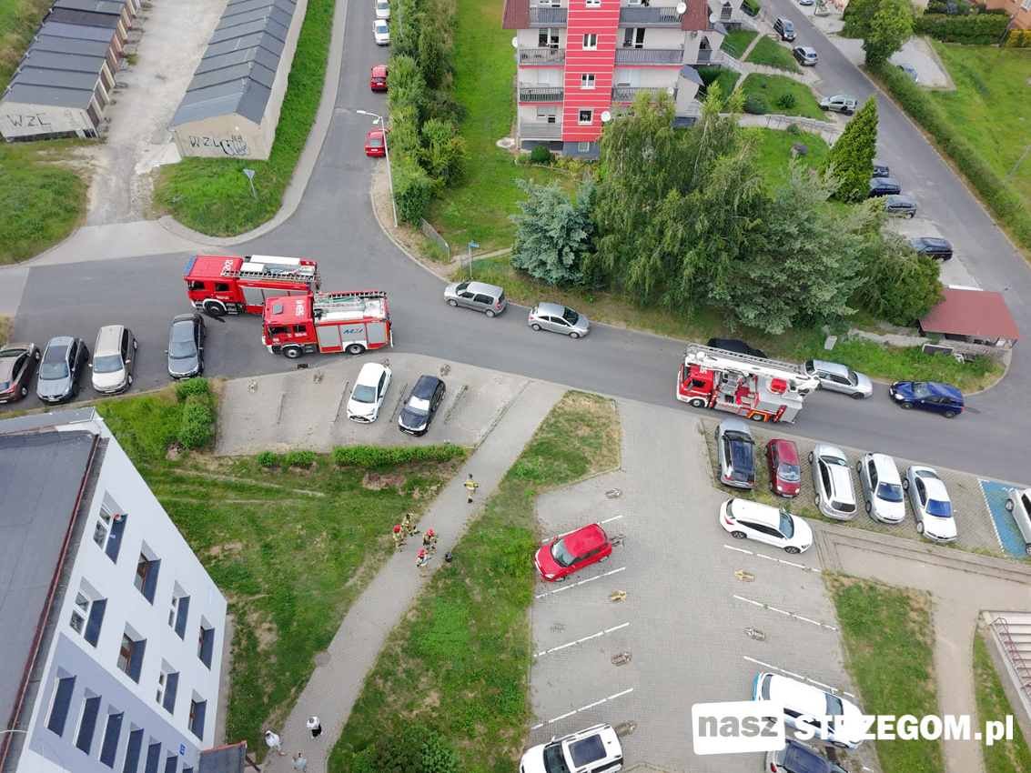 Popołudniowa interwencja strażaków przy ulicy Sosnowej w Strzegomiu [FOTO] 